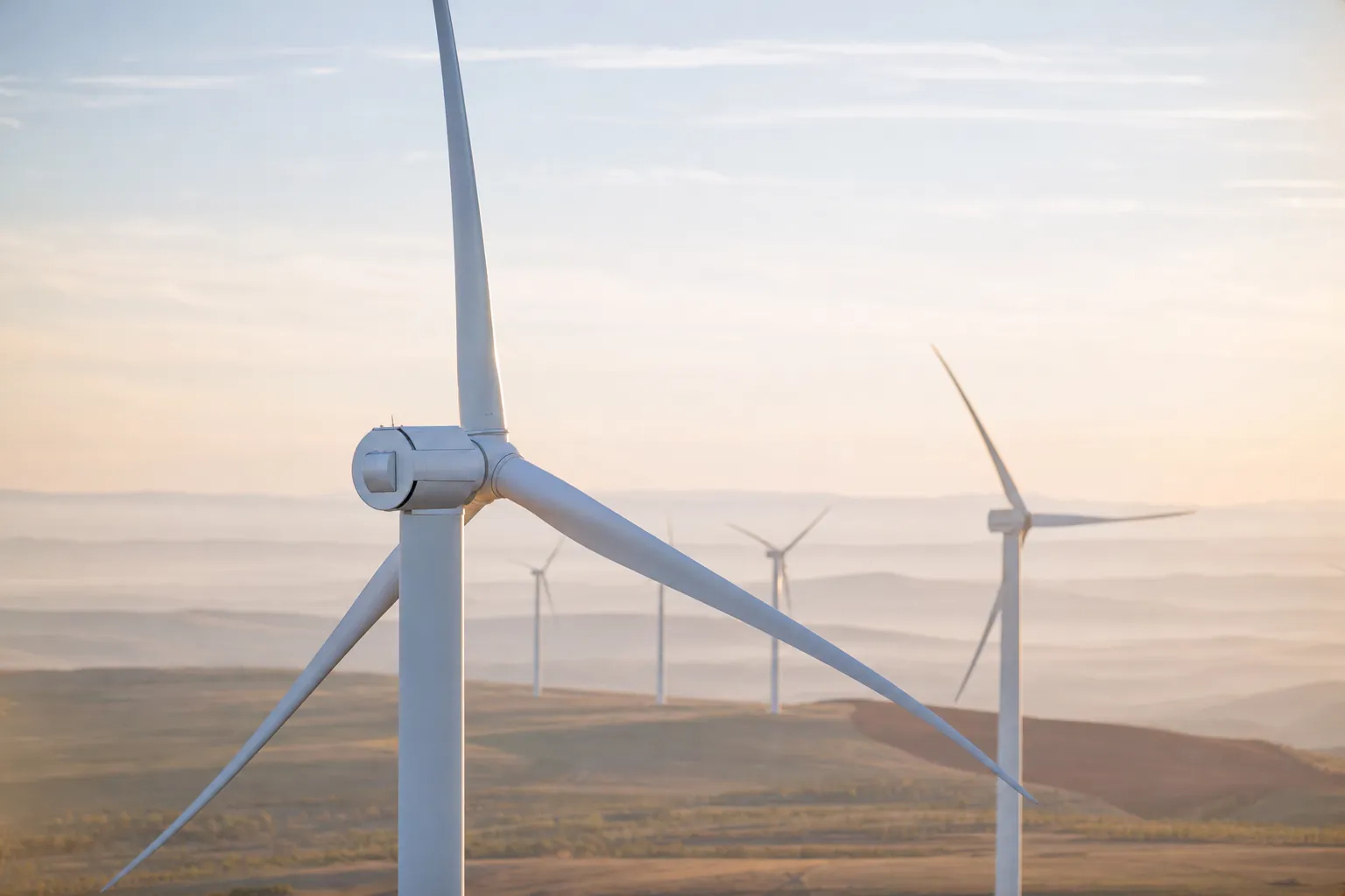 Wind farm in open country at dawn, with turbines aligned to the horizon and transmission lines under diffuse light